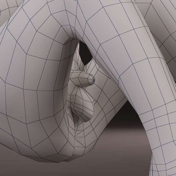 Anatomy fetus 3D model_15