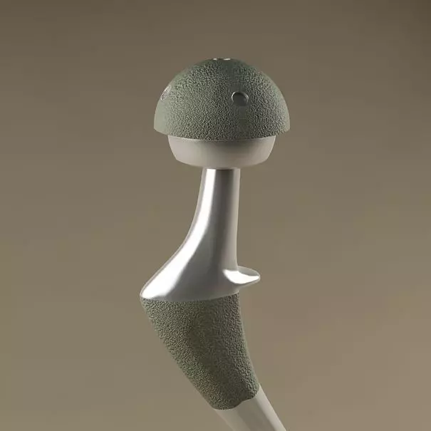 Femoral prosthesis 3D model