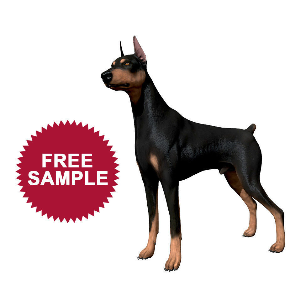 Doberman models. Модельный доберман. Доберман моделс логотип. Доберман моделс логотип. Doberman models.