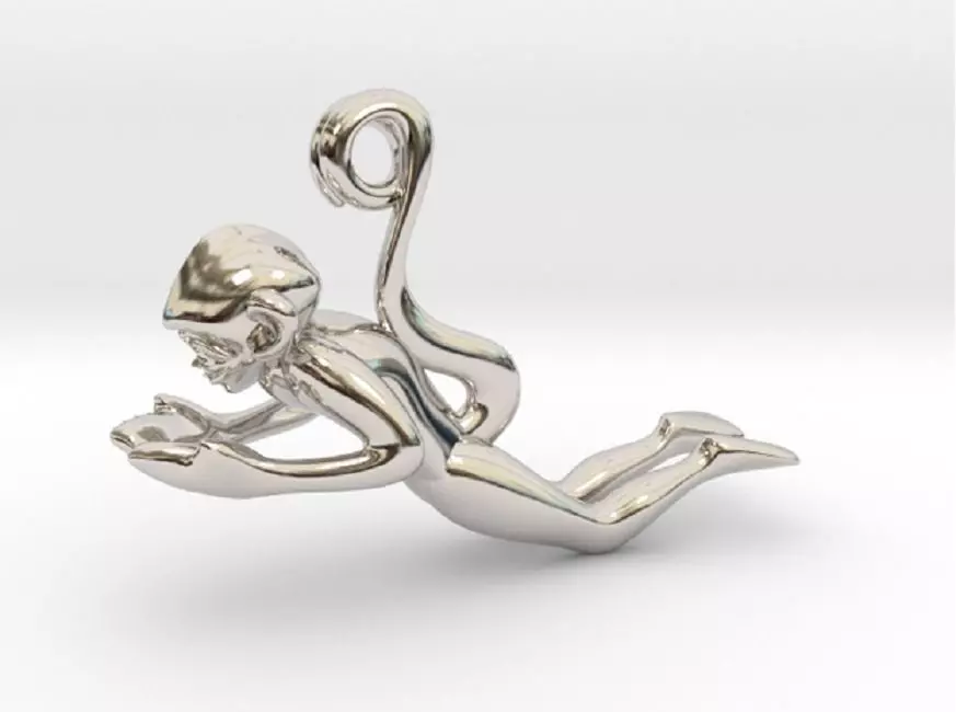 3D-Monkeys 091 3D print model_0
