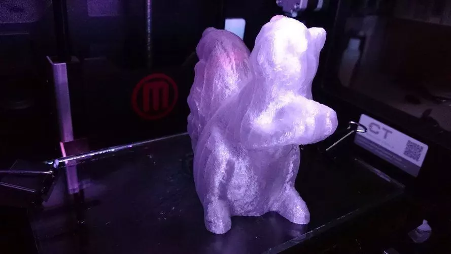 Squirrel Scan Free 3D print model