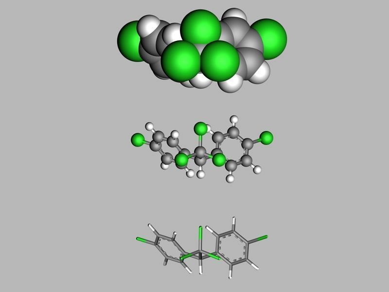 DDT molecule 3D model_1
