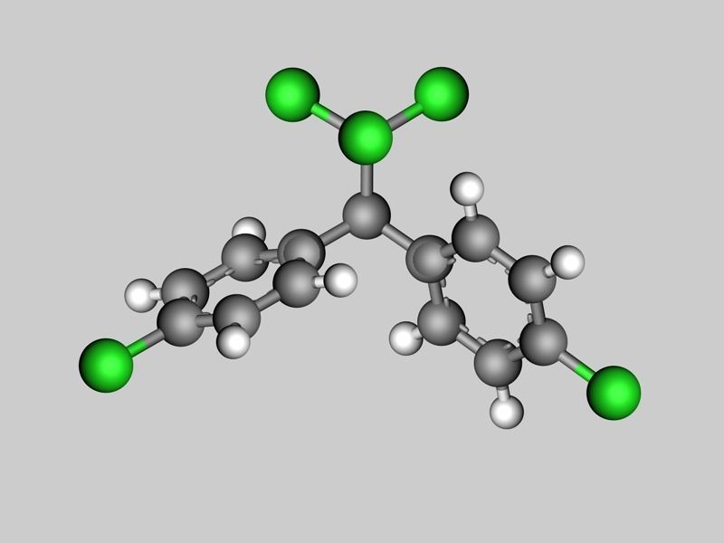 DDT molecule 3D model_8