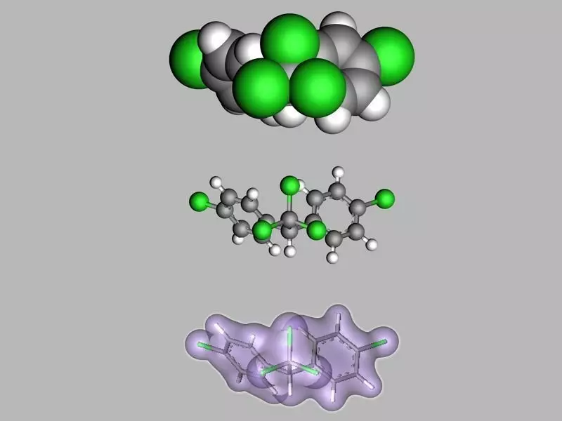 DDT molecule 3D model_0