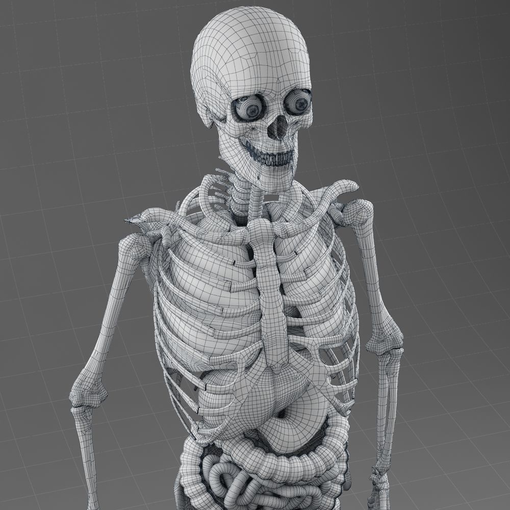 Anatomy Internal Organs Male 3D model_13