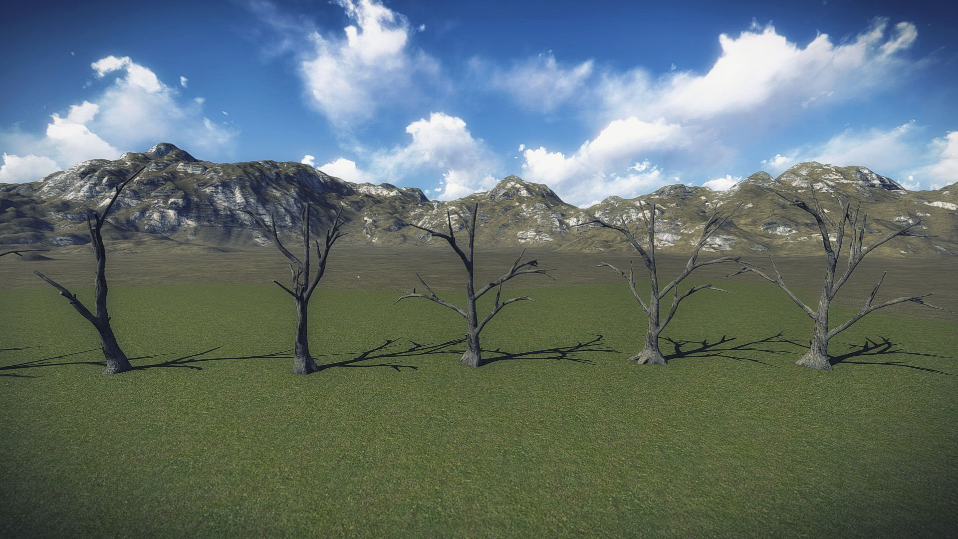 10 Old Branched Leaf Tree Models Low-poly 3D model_1