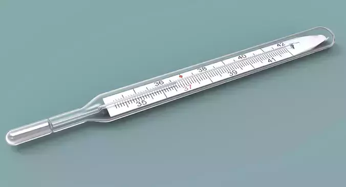 Medical thermometer 3D model