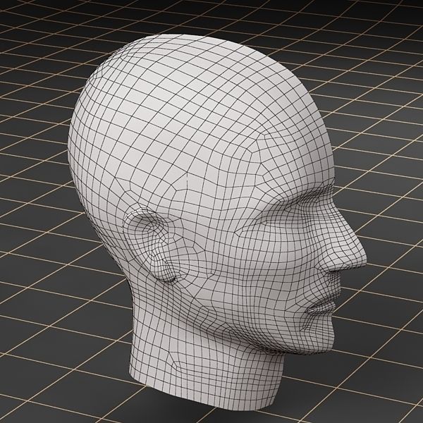 Anatomy head cutaway 3D model_8