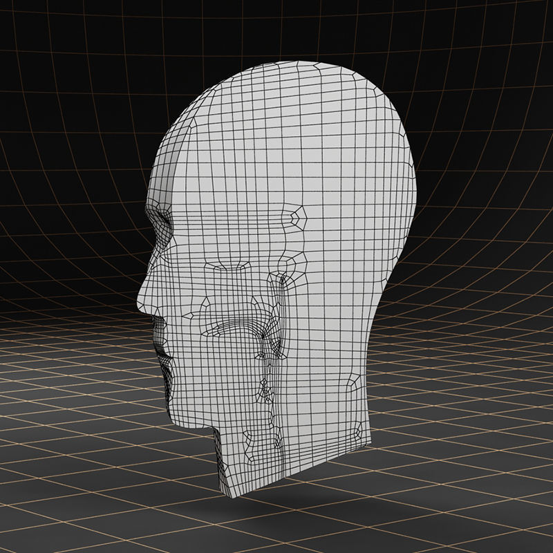 Anatomy head cutaway 3D model_9