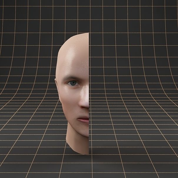 Anatomy head cutaway 3D model_3