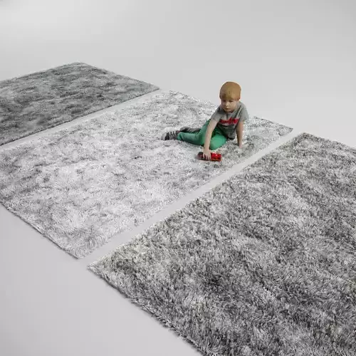 fluffy rug carpet 3D model