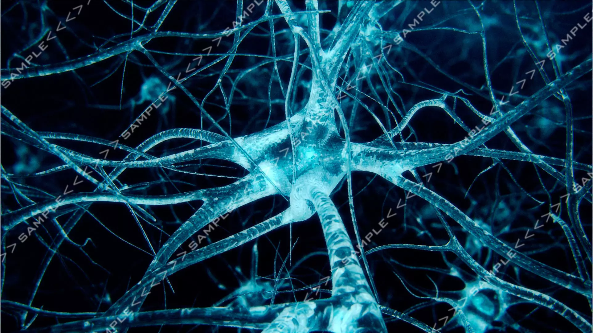 Neurons ride import pack 3D model_0