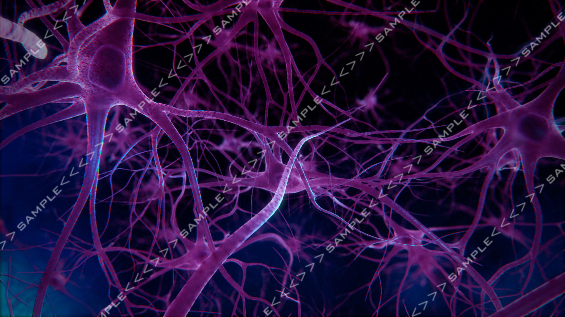 Neurons ride import pack 3D model_5