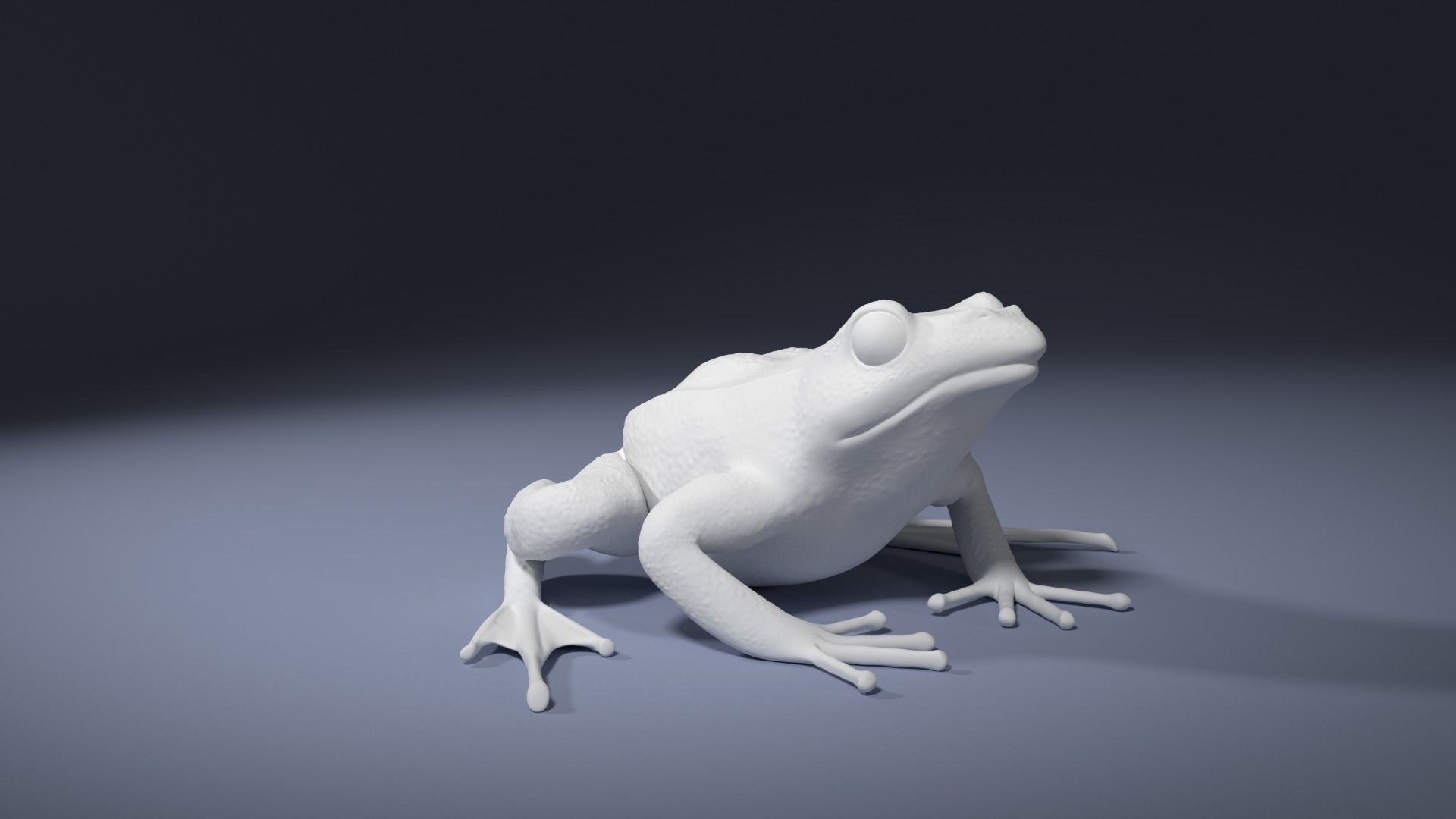 Rana Temporaria Frog for 3D printing 3D print model_4