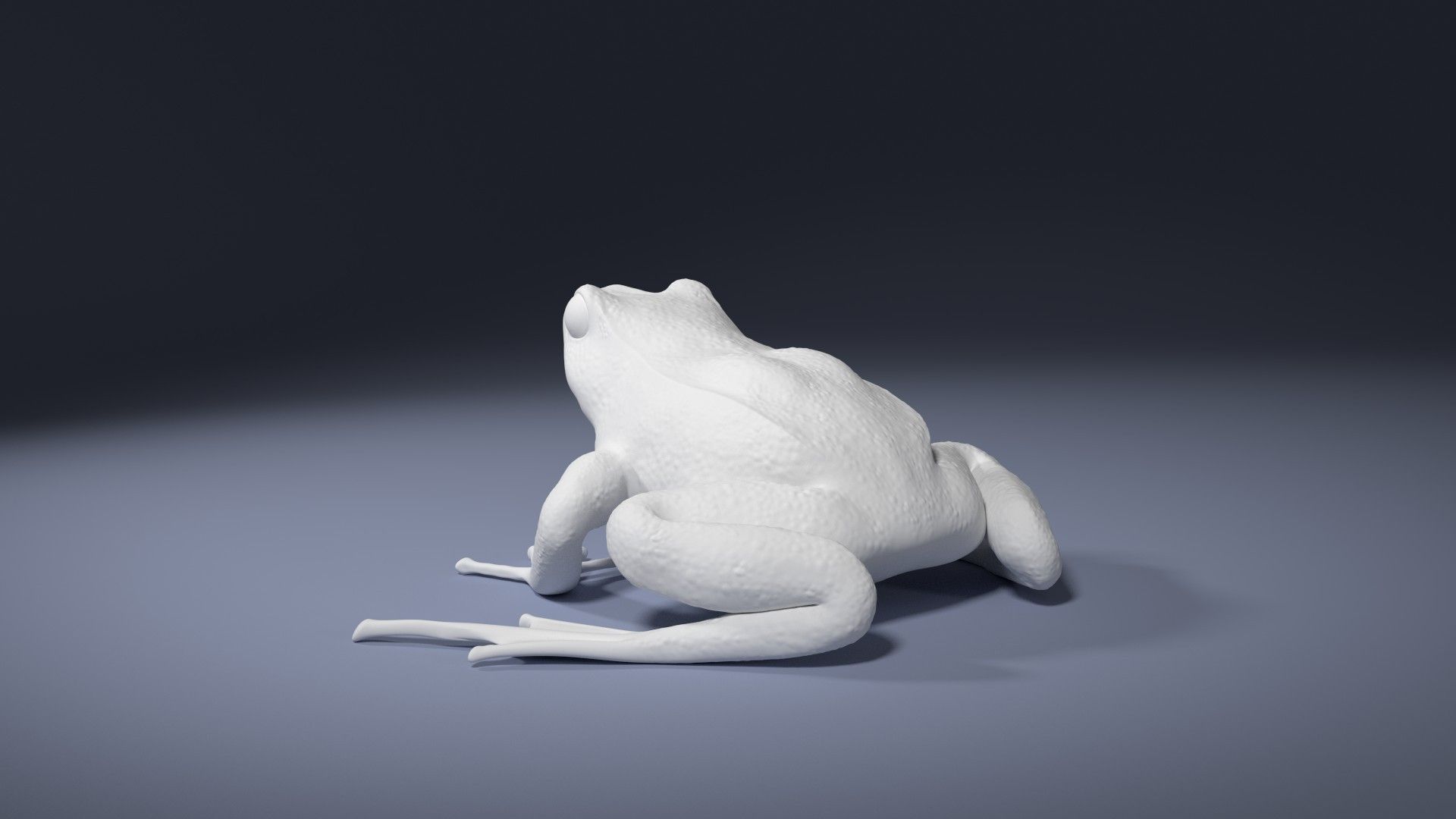 Rana Temporaria Frog for 3D printing 3D print model_2
