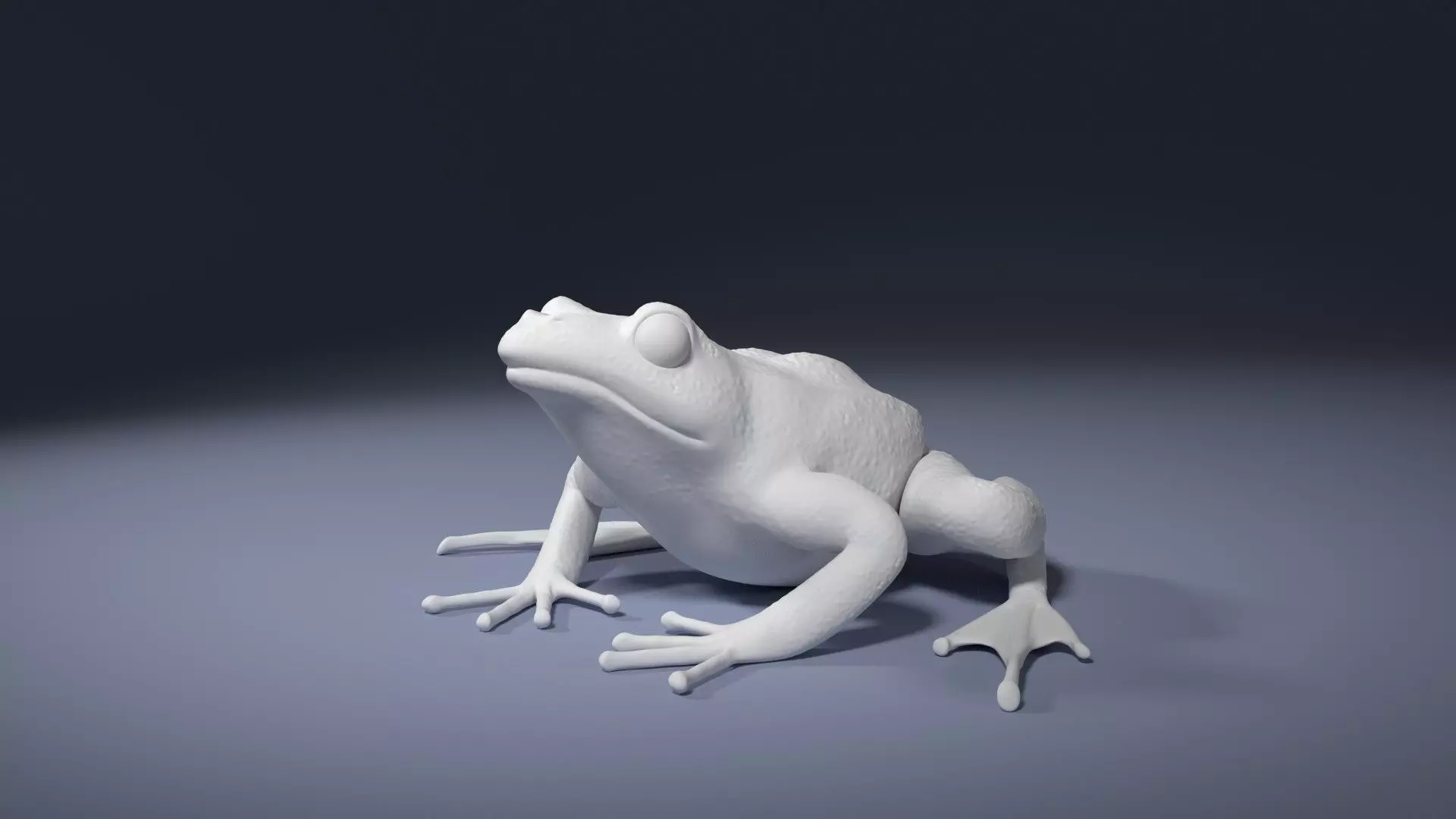 Rana Temporaria Frog for 3D printing 3D print model_0