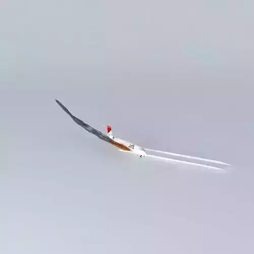 JAL Airlines Flight 79 {2015; 8Mb}