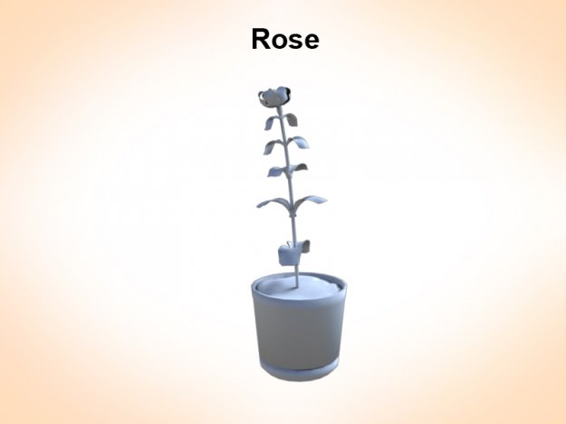 Rose in vase 3D model_1