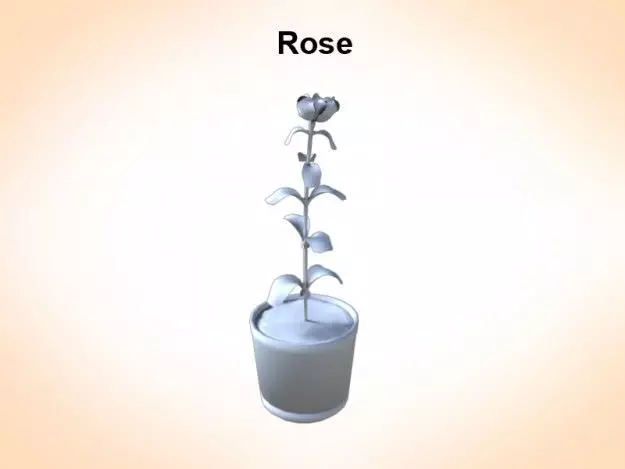 Rose in vase 3D model_0