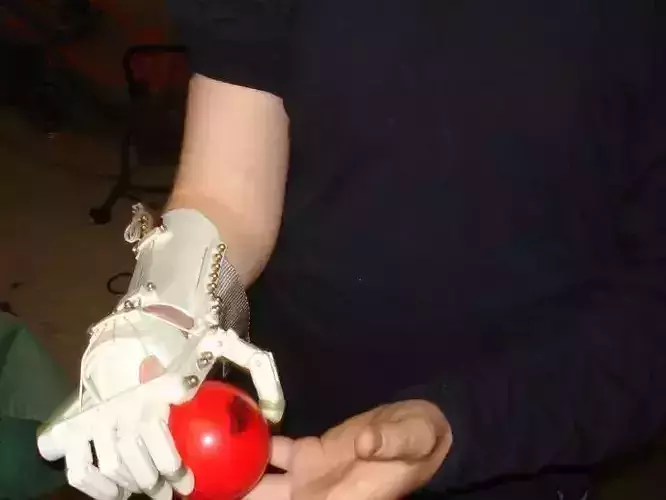 Complete set of mechanical anatomically driven fingers Free 3D print model