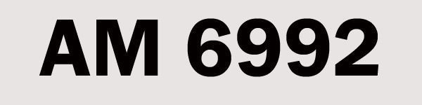 AT 105 SAXON HONK KONG POLICE 3D model_12