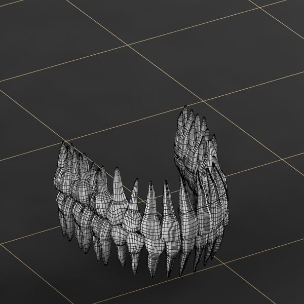 Dentition 01 3D model_9