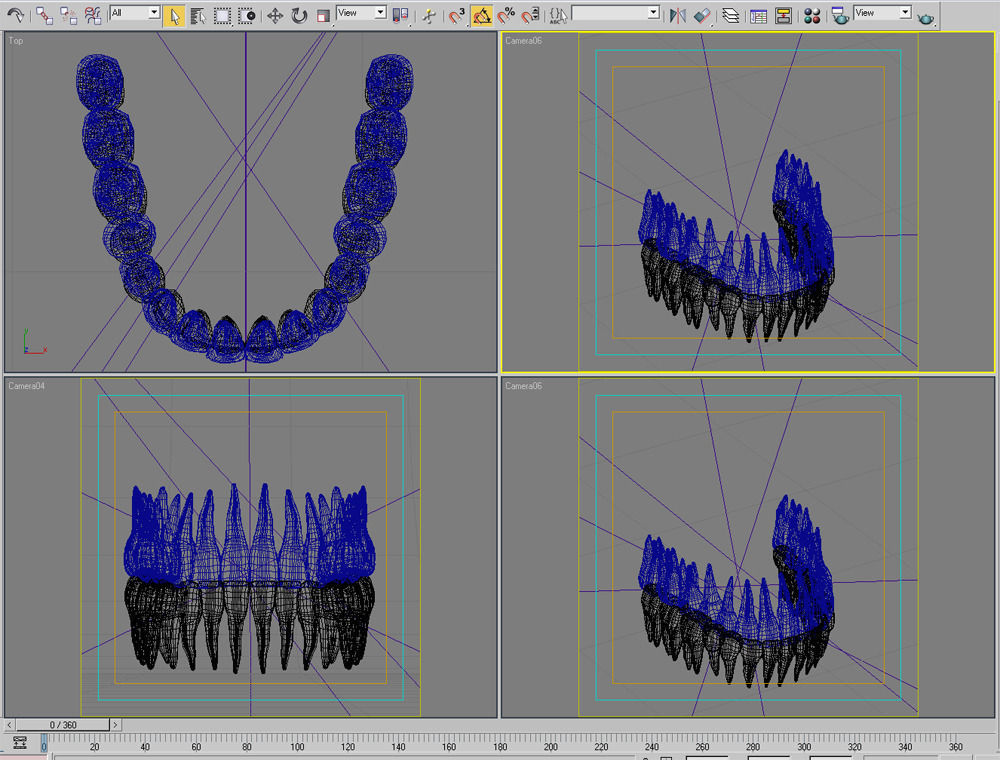Dentition 01 3D model_10