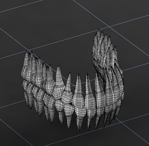 Dentition 02 3D model_7
