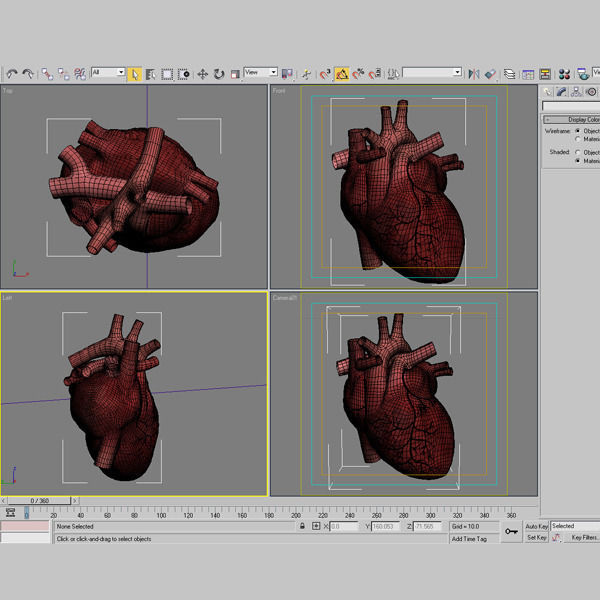 Anatomy collection 01 3D model_25