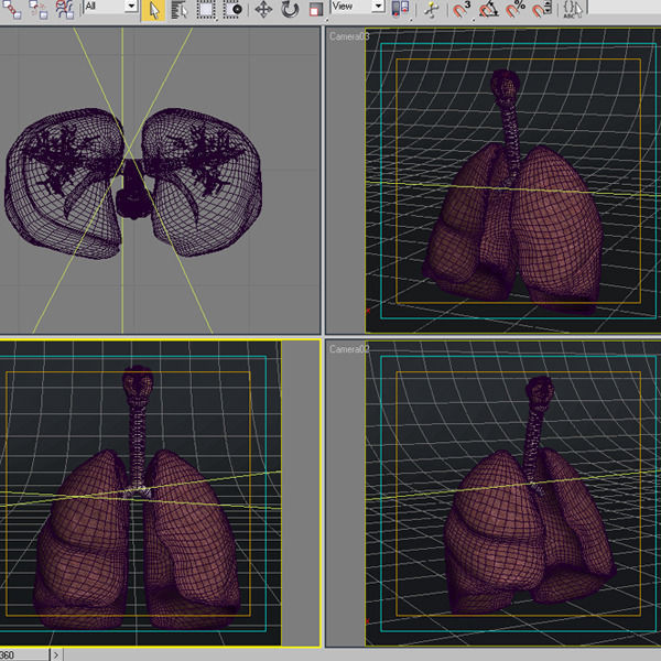 Anatomy collection 01 3D model_35
