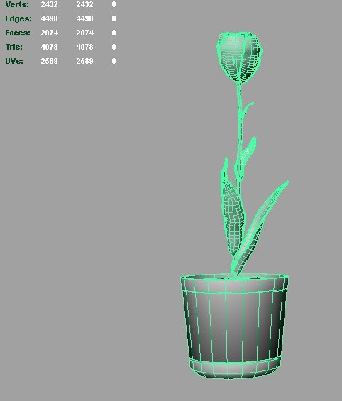 Tulip 3D model_3