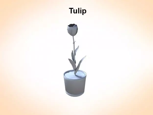 Tulip 3D model_0