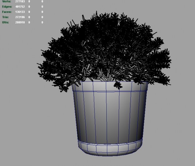 Vinca plant 3D model_3
