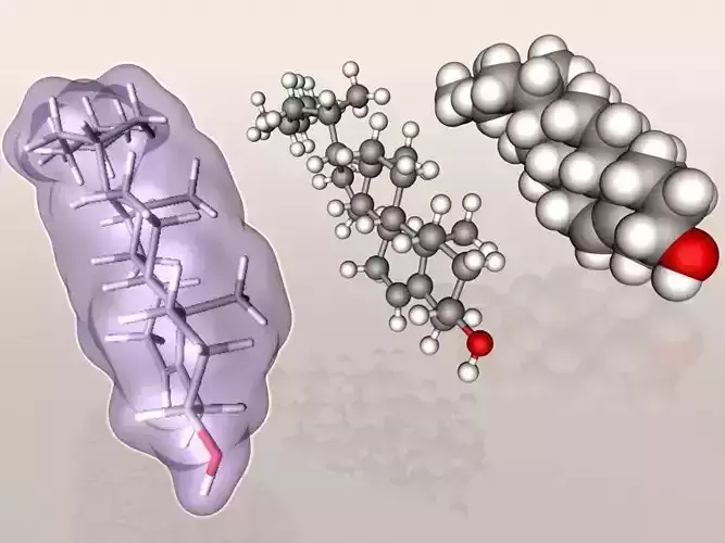 Cholesterol molecule 3D model
