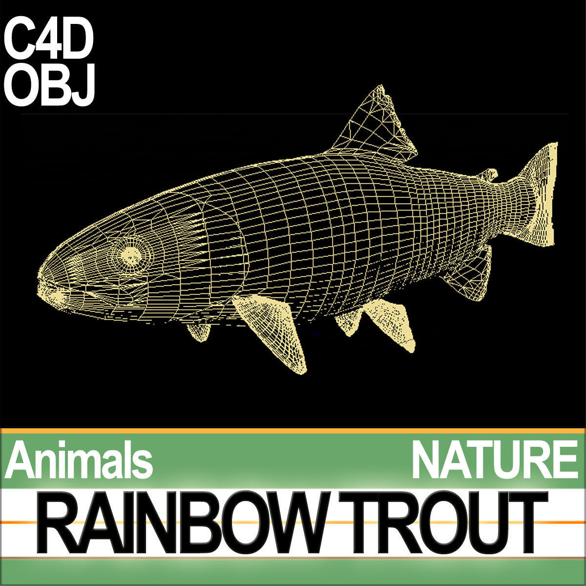 Rainbow Trout 3D model_7