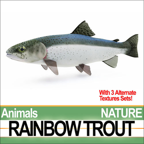 model teeth obj free Rainbow Trout .3ds .obj 3D  Model .c4d .vue CGTrader.com