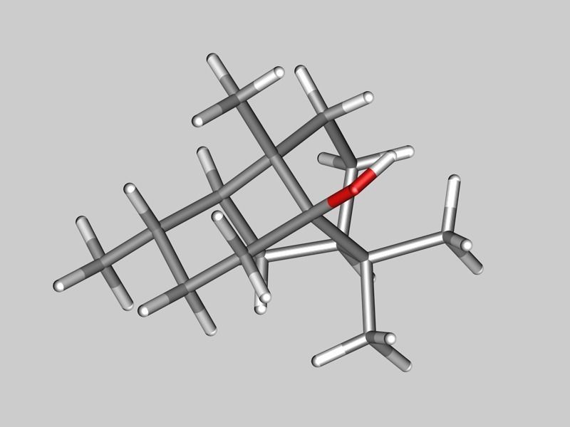 Patchoulol or patchouli alcohol molecule 3D model_7