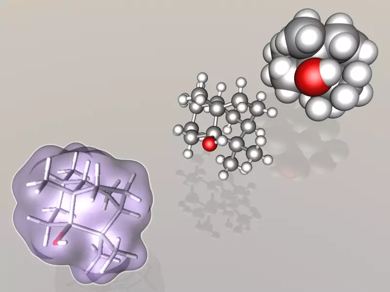 Patchoulol or patchouli alcohol molecule 3D model_0