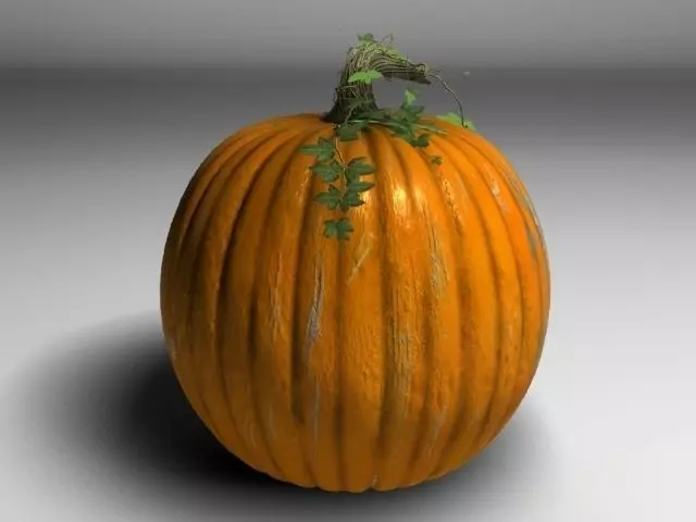 Pumpkin 3D model_0