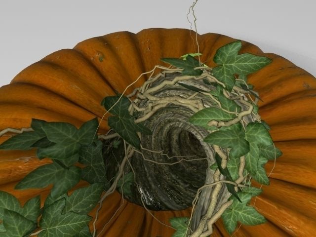 Pumpkin 3D model_7