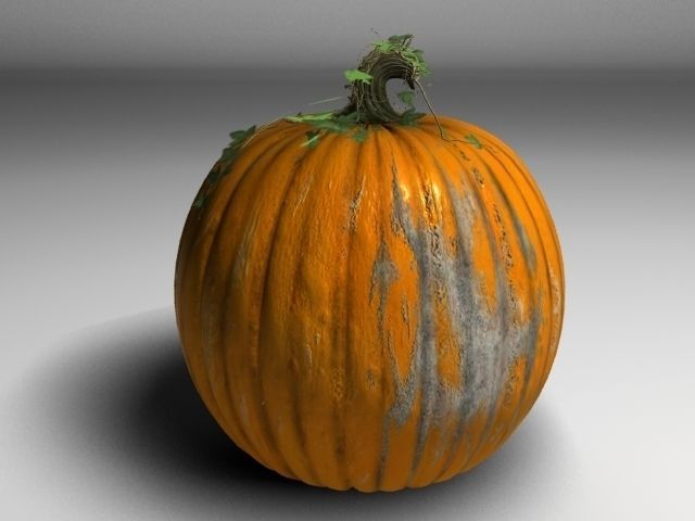 Pumpkin 3D model_6