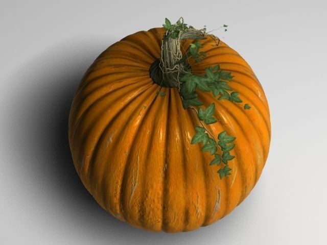 Pumpkin 3D model_5