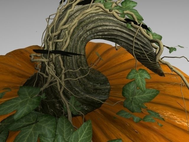Pumpkin 3D model_3