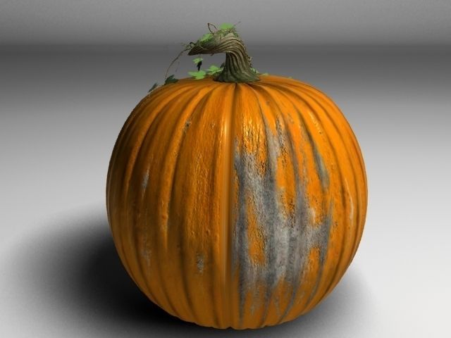 Pumpkin 3D model_2
