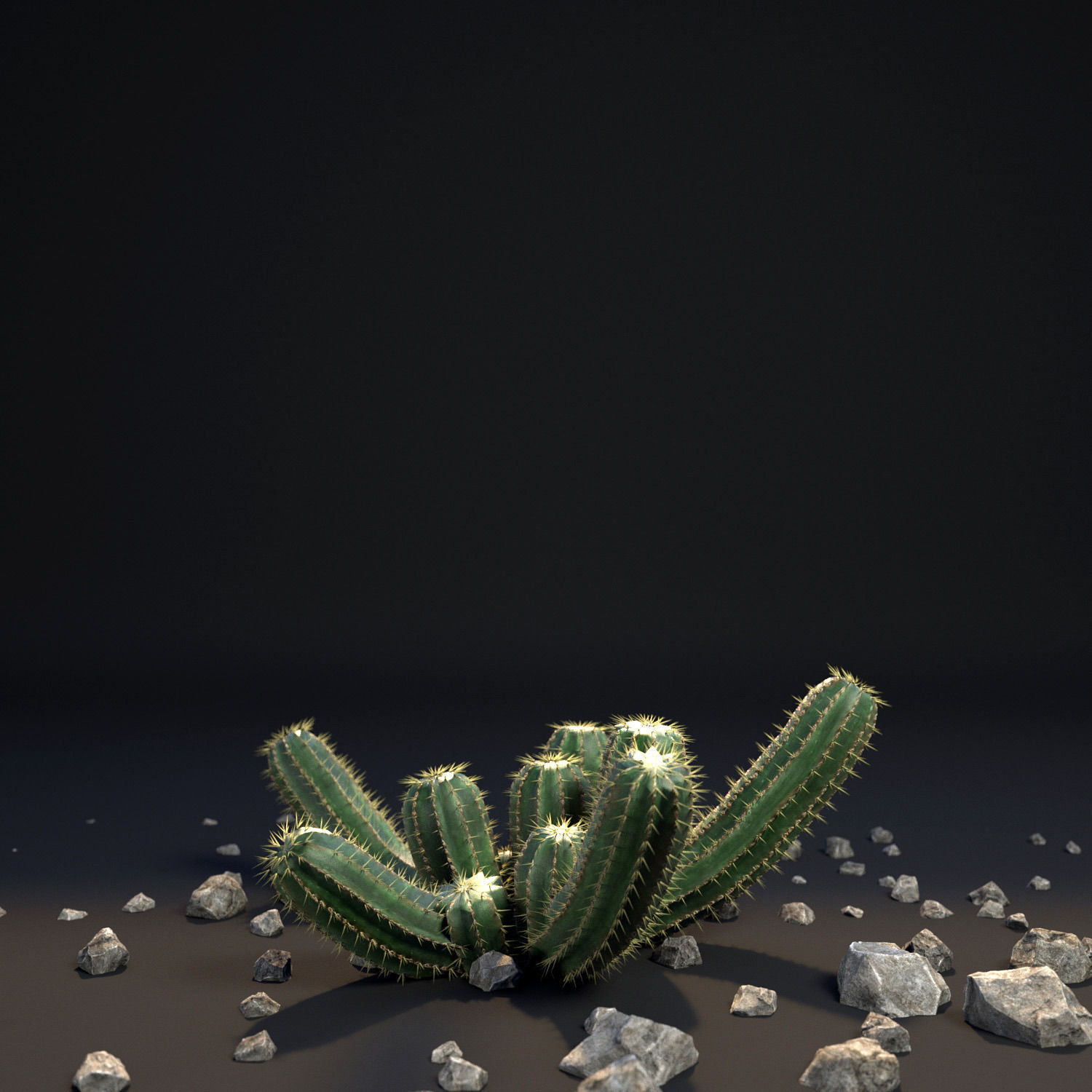 18 High-Res Desert CG Plant and Tree Models 3D model_18