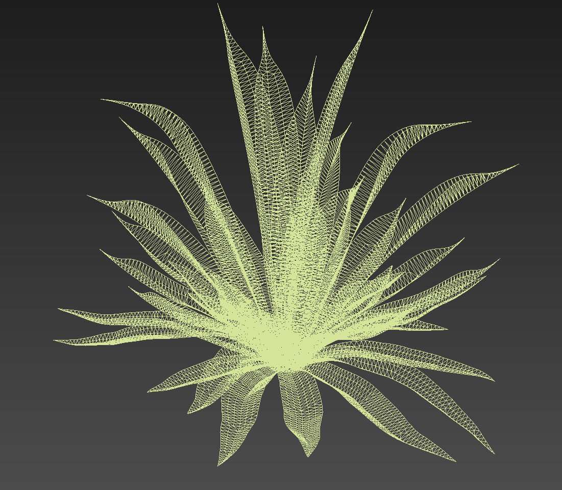 18 High-Res Desert CG Plant and Tree Models 3D model_50