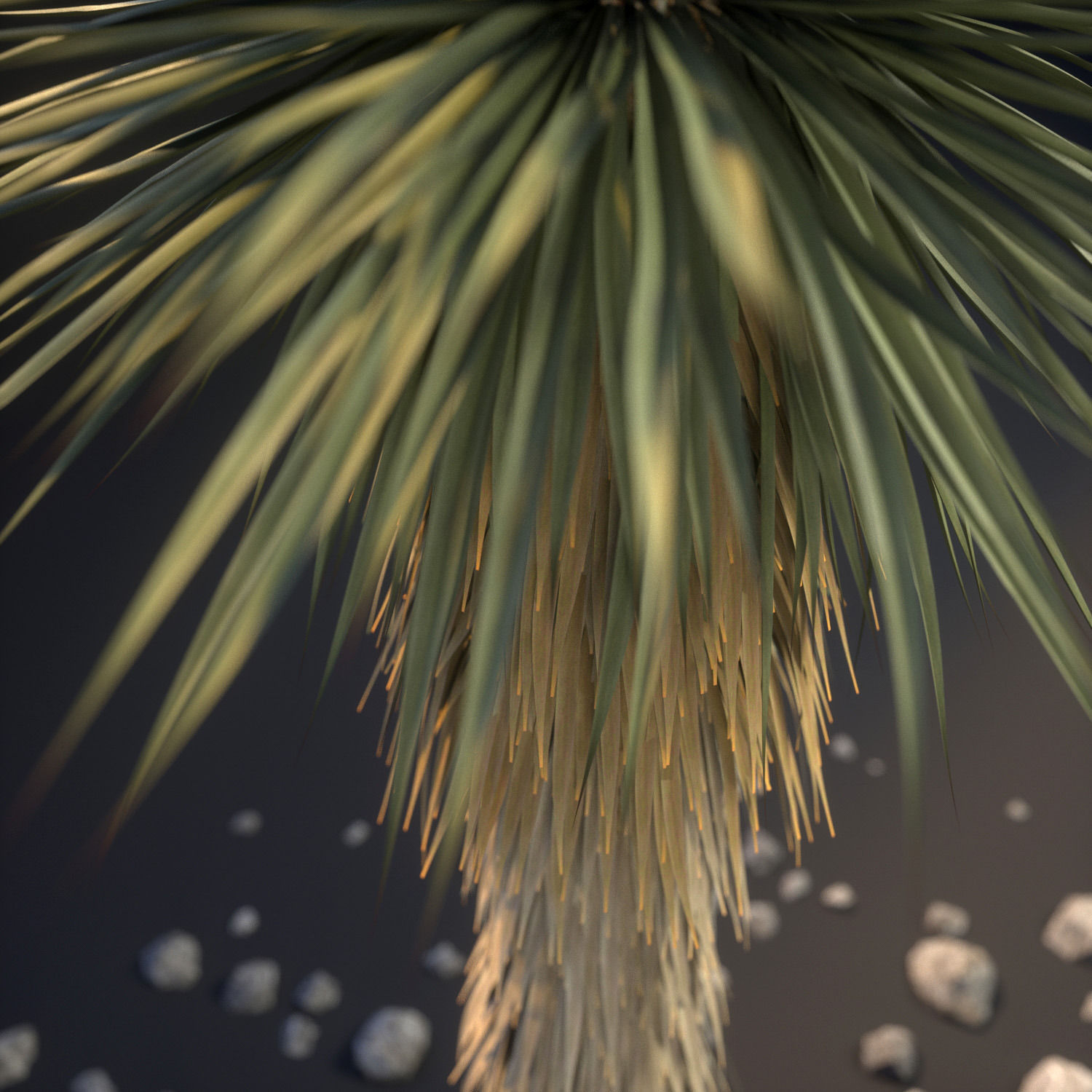 18 High-Res Desert CG Plant and Tree Models 3D model_2