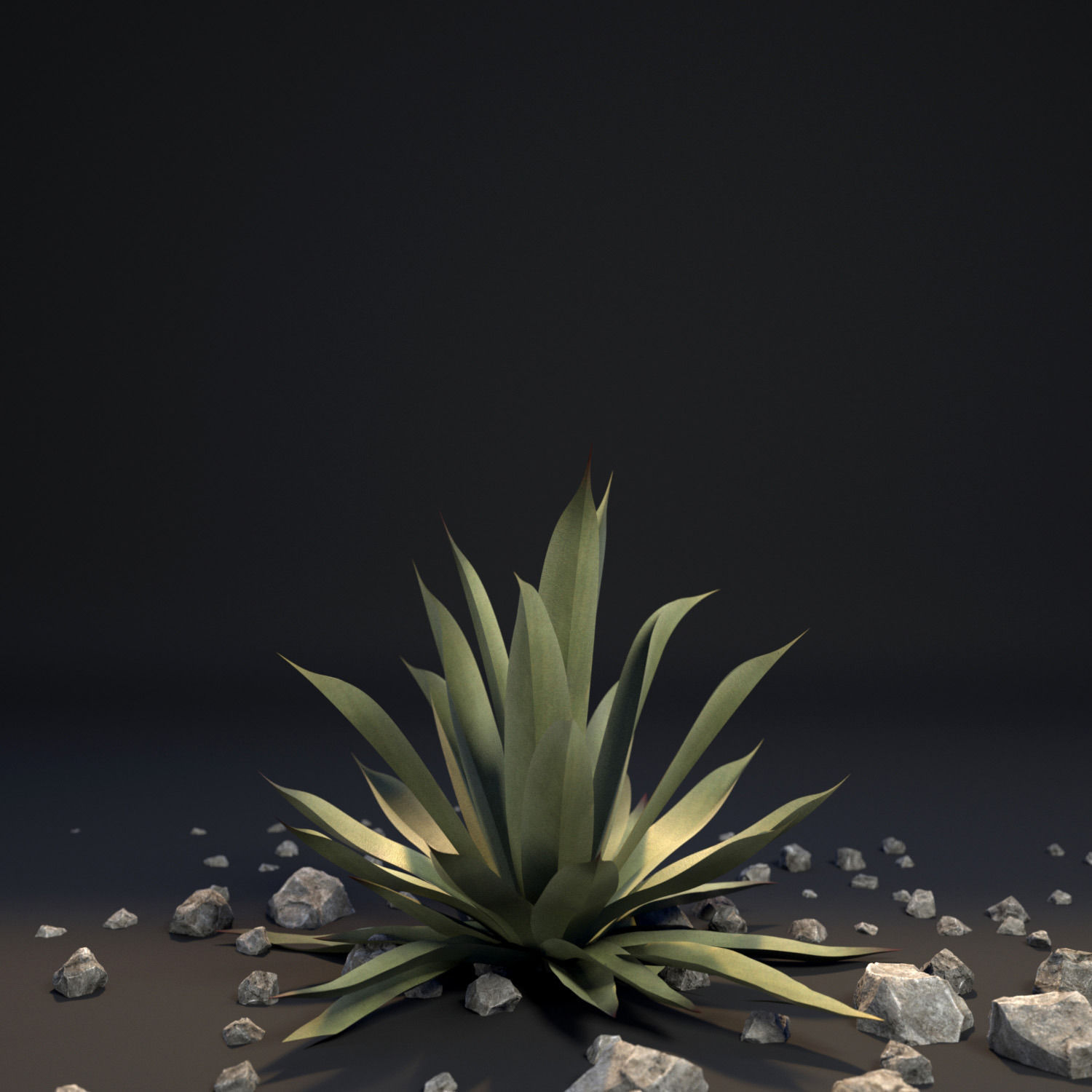 18 High-Res Desert CG Plant and Tree Models 3D model_21