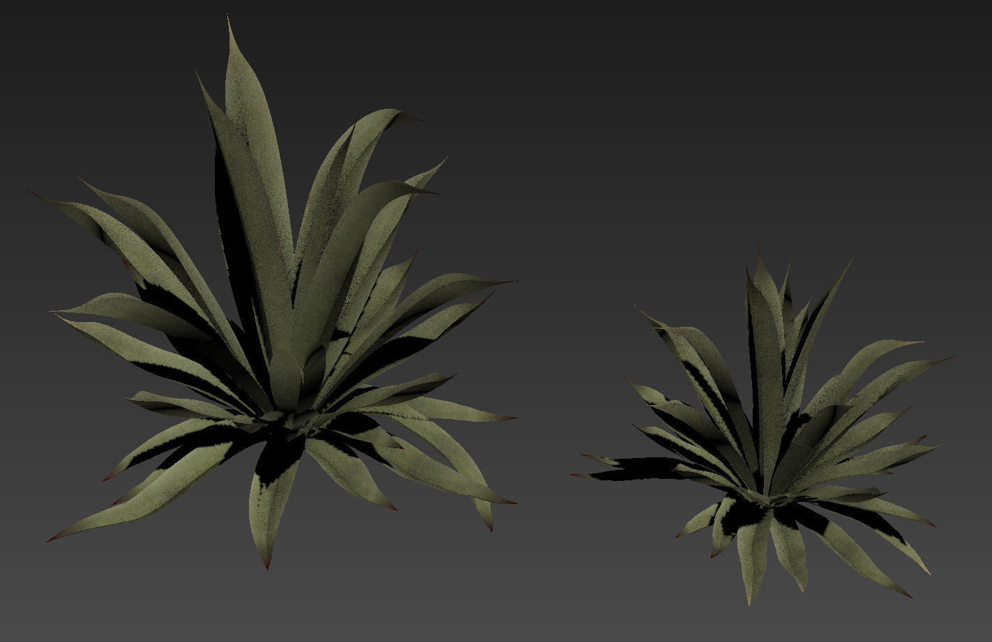 18 High-Res Desert CG Plant and Tree Models 3D model_35