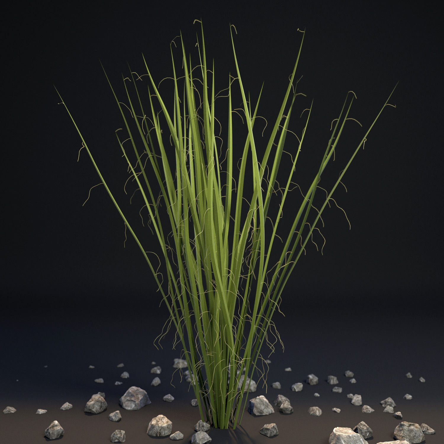 18 High-Res Desert CG Plant and Tree Models 3D model_17